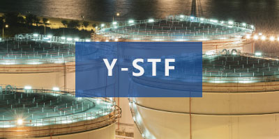 Y-STF.jpg
